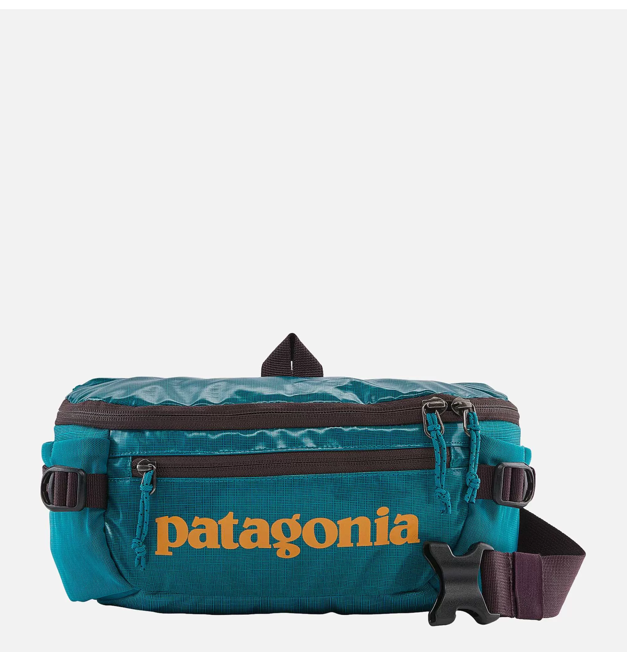 PATAGONIA ACCESSORIES Blackhole Waist Pack Blyb^ Autres Sacs