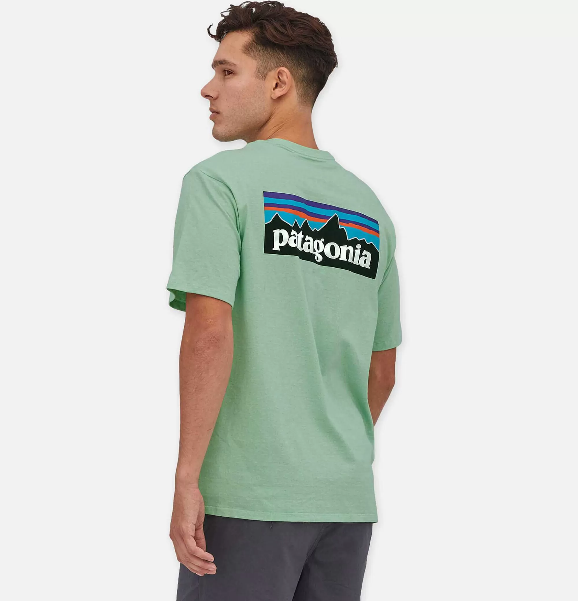 PATAGONIA T-Shirt P6 Logo Tea Green^ T-Shirts